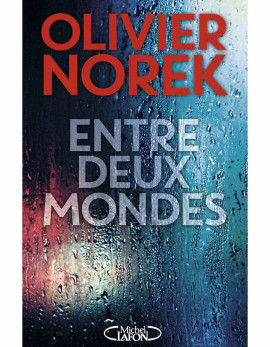 Entre-deux-mondes-d-Olivier-Norek-Michel-Lafon